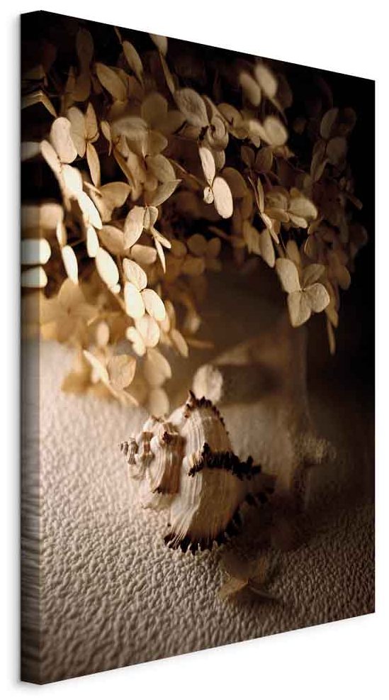 Leinwandbild - Humming Seashell (1 Part) Vertical