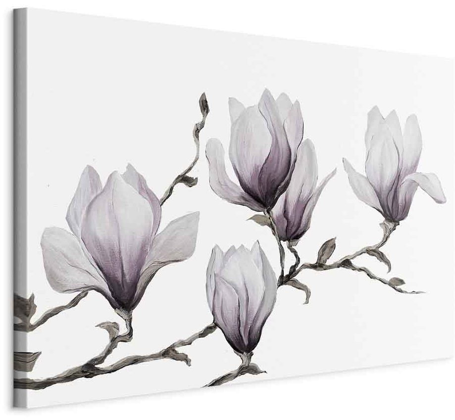 Leinwandbild - Painted Magnolias (1 Part) Wide