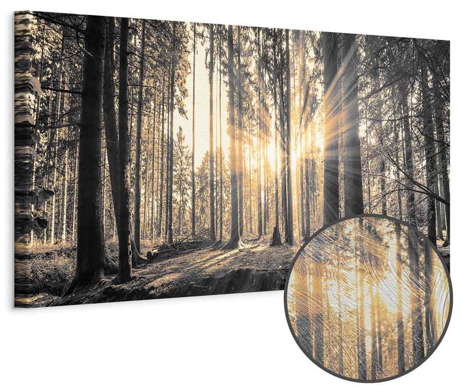 Leinwandbild - Forest Sun