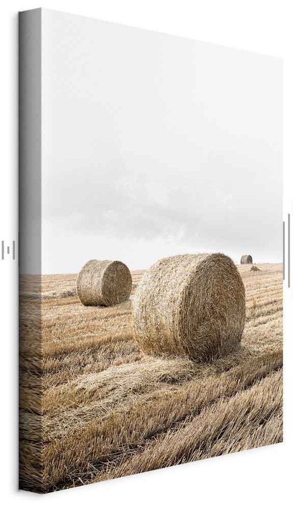 Leinwandbild - Hay (1 Part) Vertical