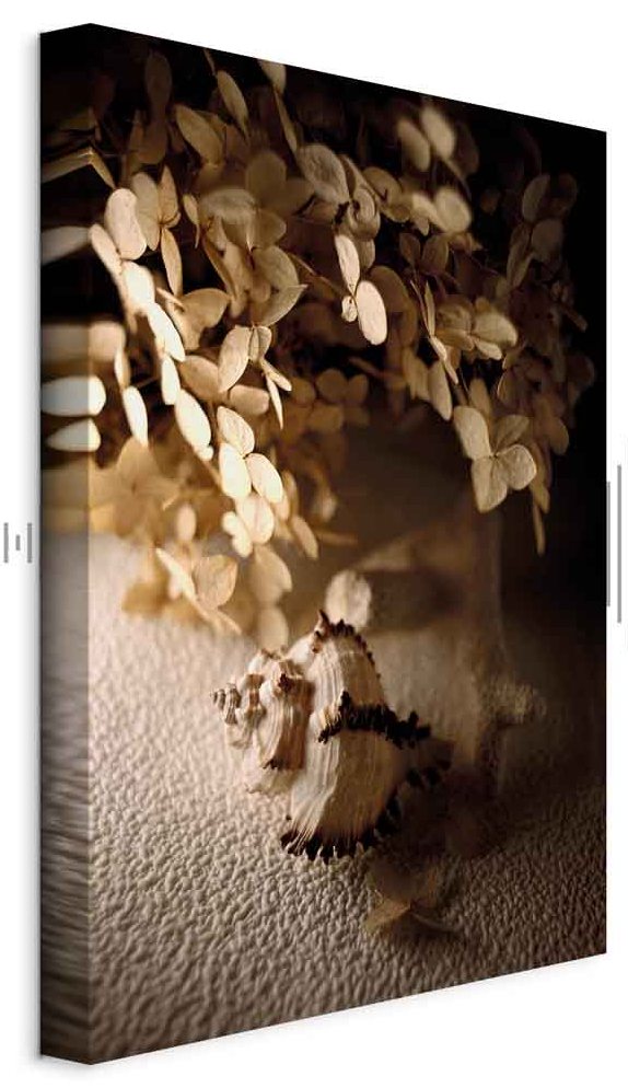 Leinwandbild - Humming Seashell (1 Part) Vertical
