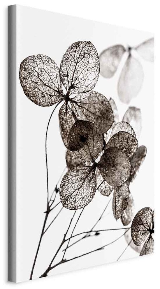 Leinwandbild - Transparent Clover (1 Part) Vertical