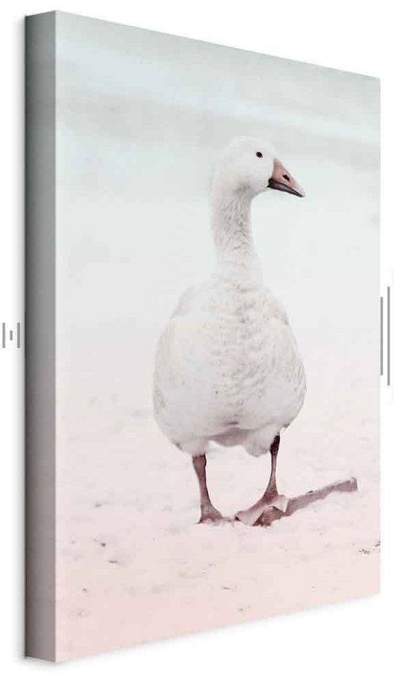 Leinwandbild - Winter Duck (1 Part) Vertical