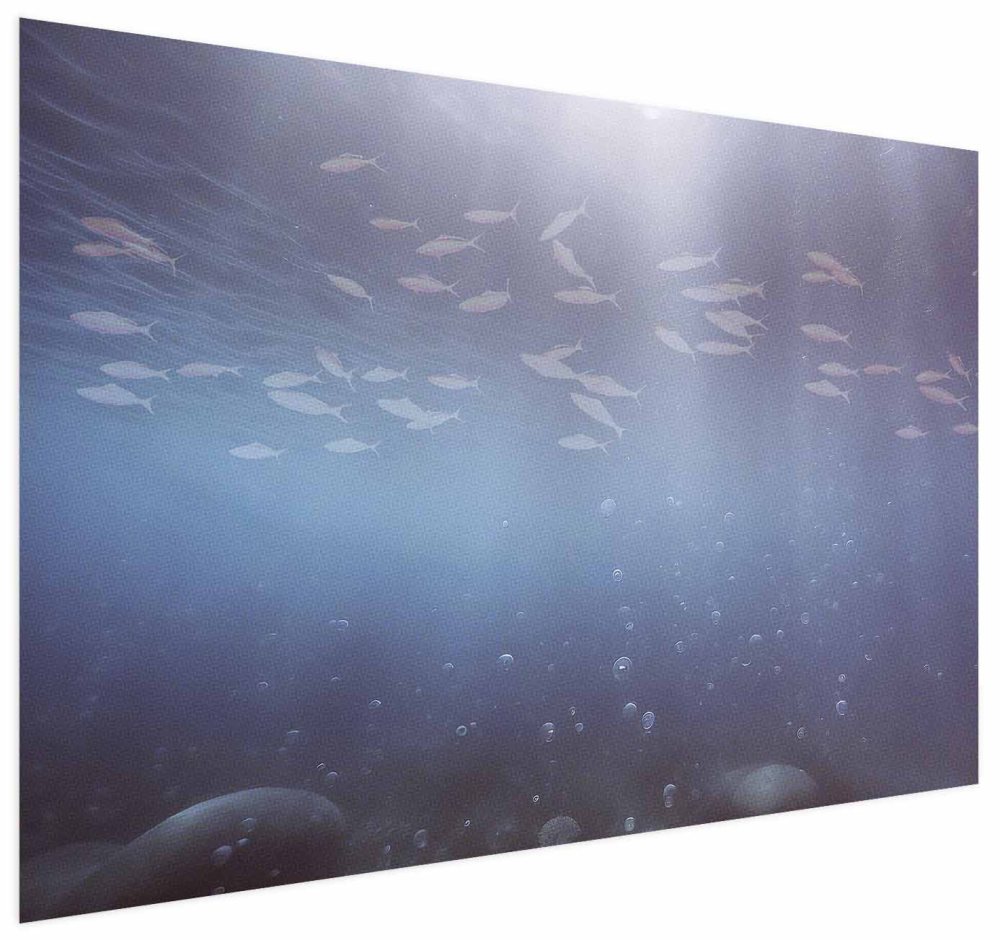Poster - Fish in the Depths