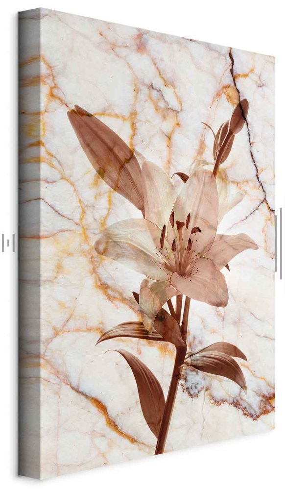 Leinwandbild - Elegance of a Flower (1-part) - Delicate Lily on Marble in Sepia