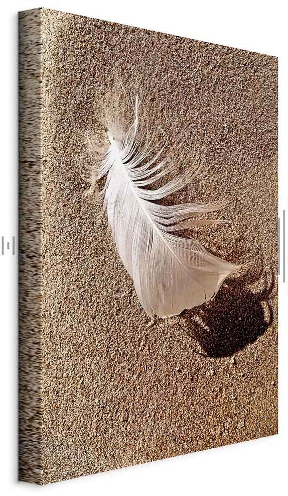 Leinwandbild - Feather on the Sand (1 Part) Vertical