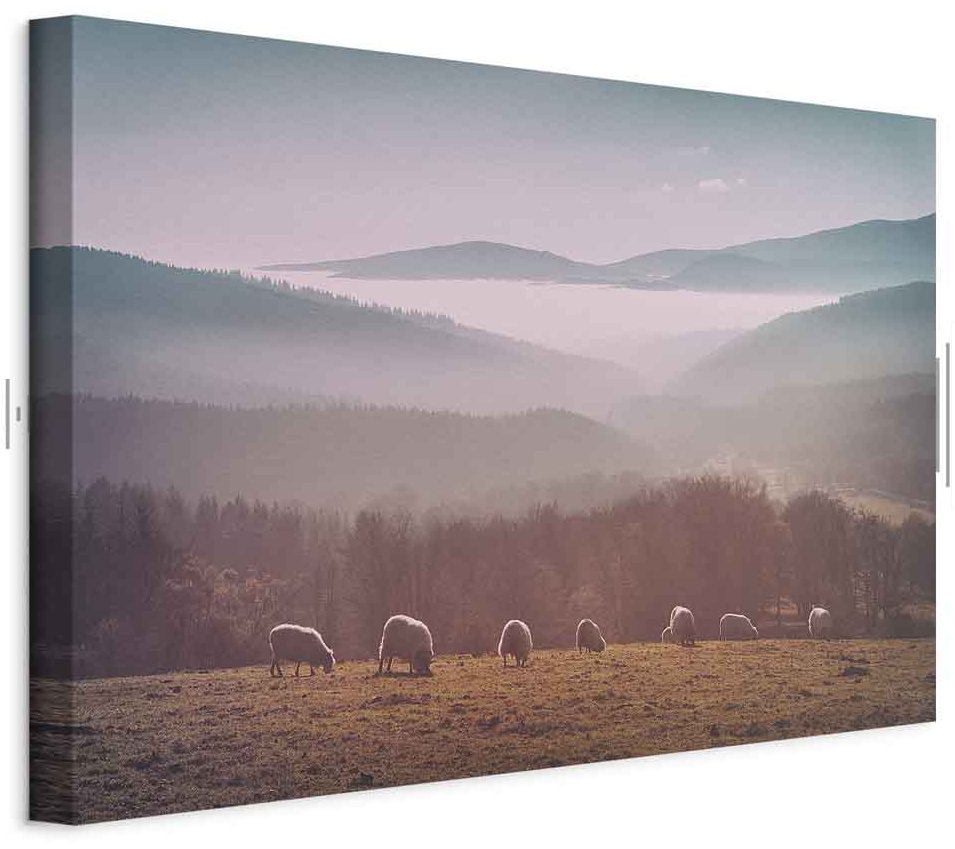 Leinwandbild - Sheep in Mountain Landscape (1-part) - Animals in Nature