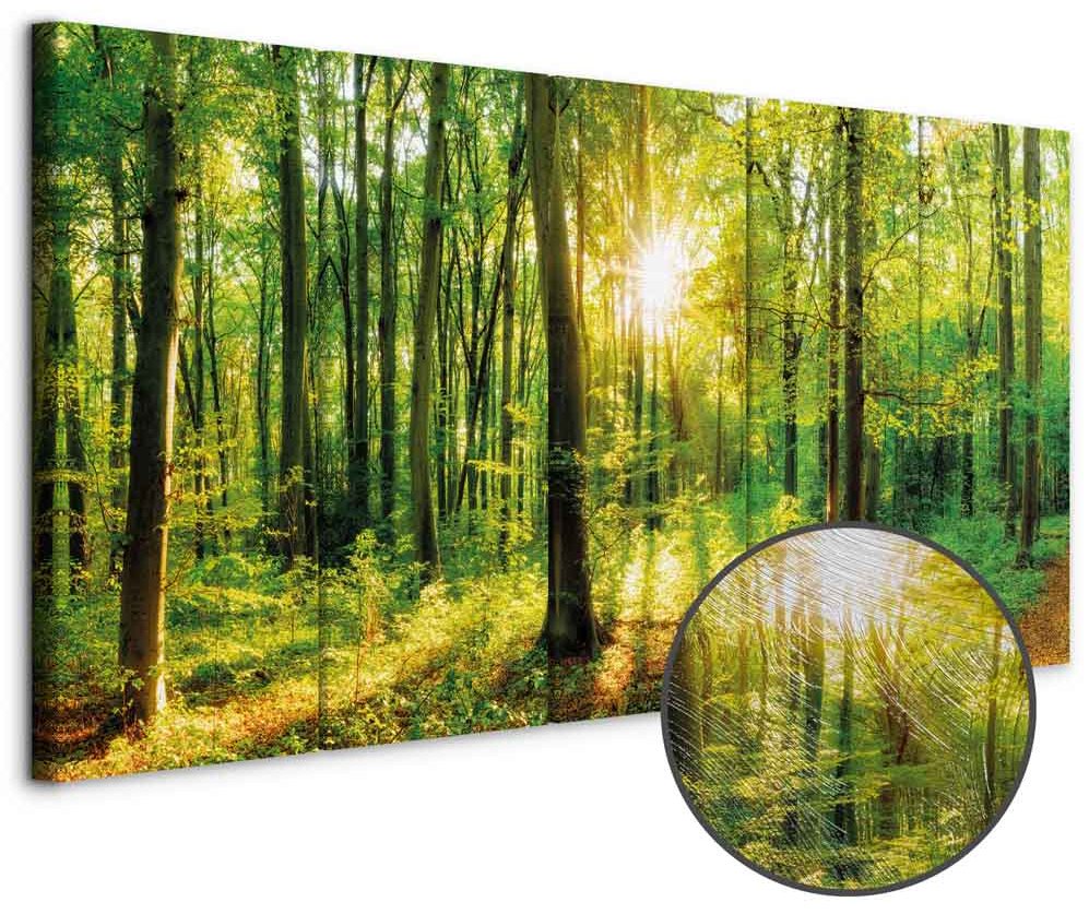 Leinwandbild - Magic Forest