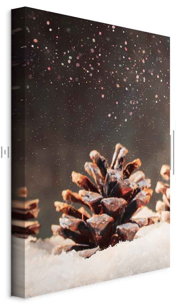 Leinwandbild - Winter Pine Cone (1 Part) Vertical