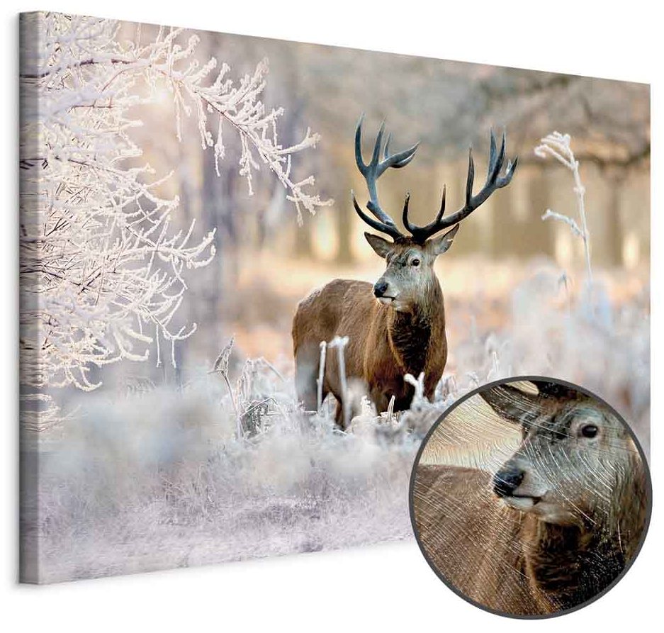 Leinwandbild - Deer in the Cold