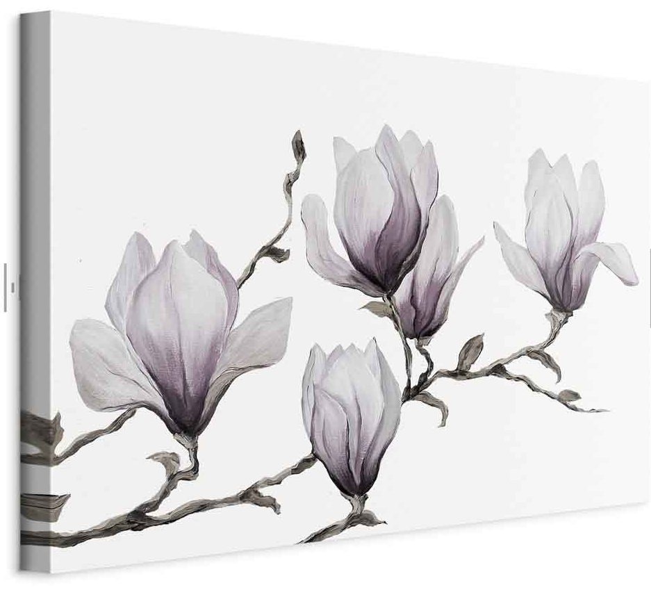 Leinwandbild - Painted Magnolias (1 Part) Wide