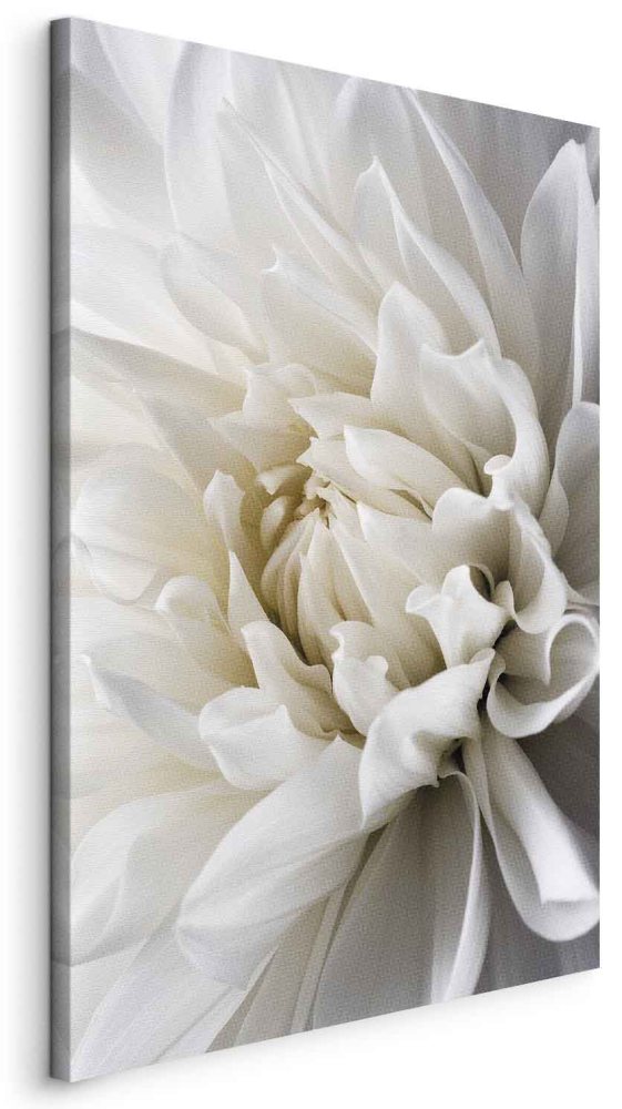 Leinwandbild - White Dahlia