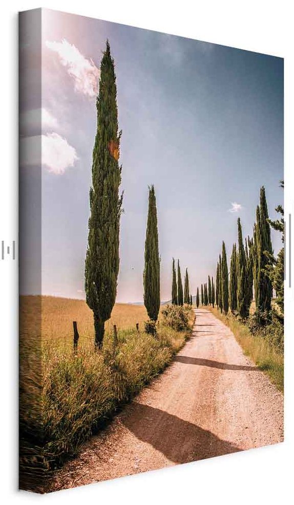 Leinwandbild - Italian cypresses (1 Part) Vertical