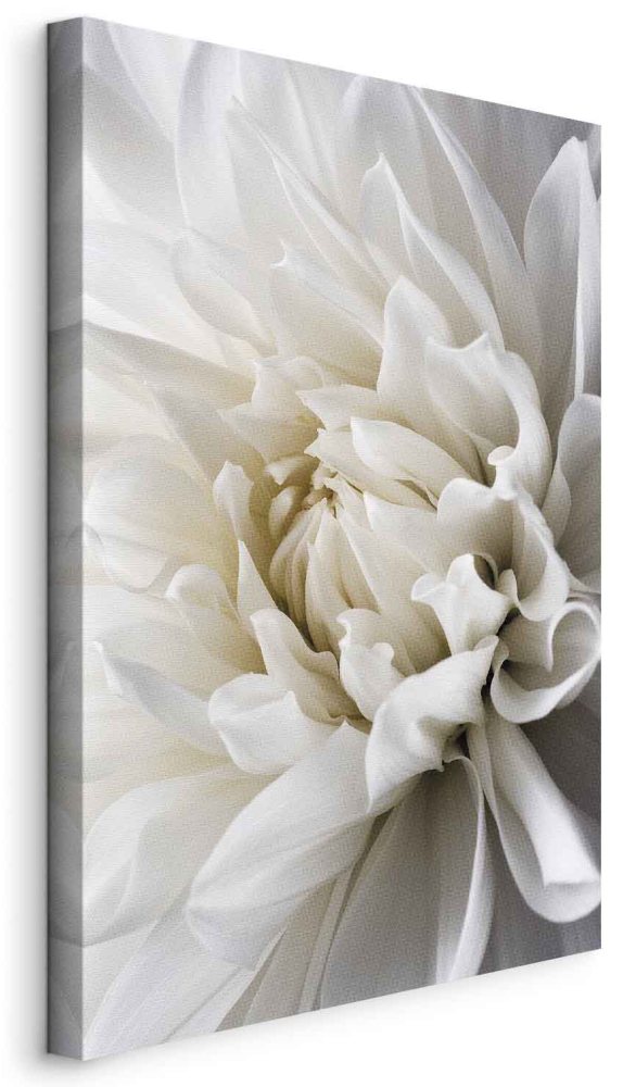 Leinwandbild - White Dahlia
