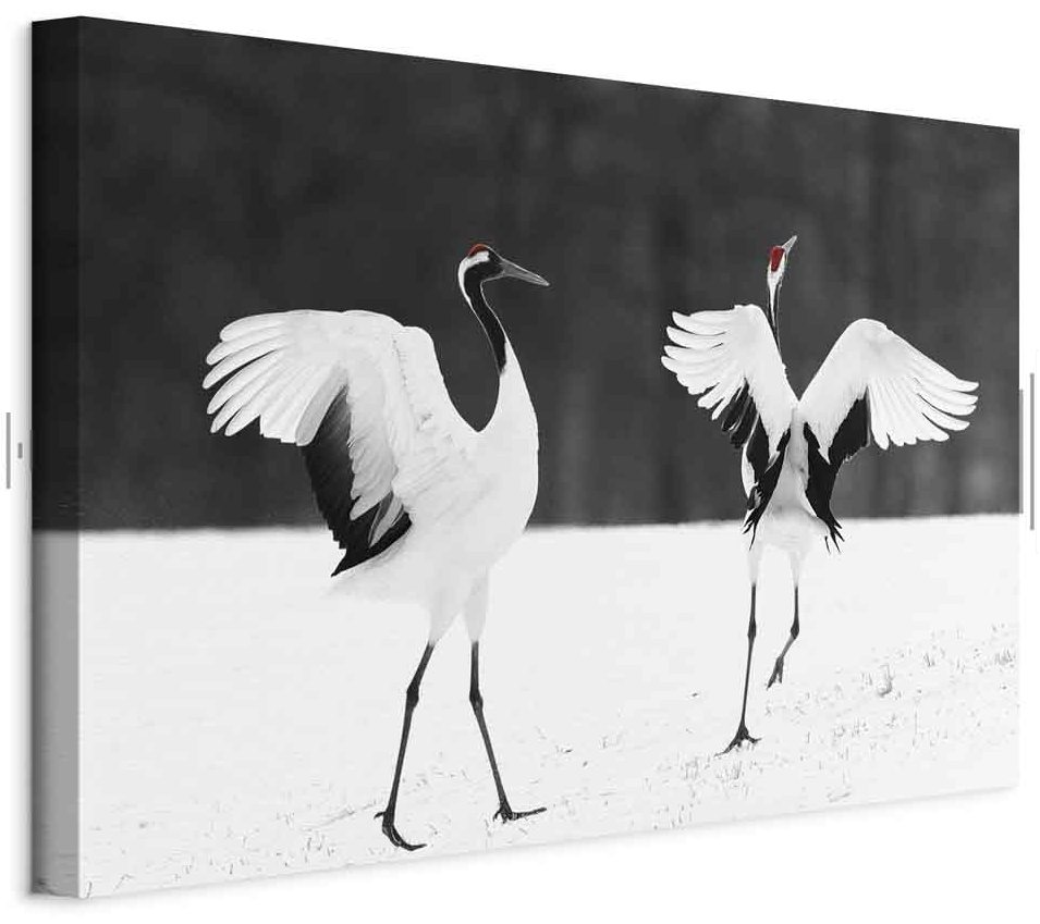 Leinwandbild - Dancing Cranes (1 Part) Wide