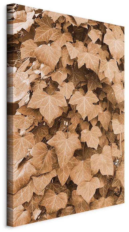 Leinwandbild - Autumn Ivy (1 Part) Vertical