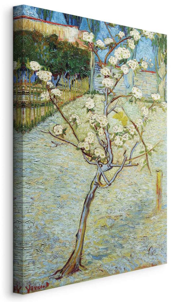 Leinwandbild - Vincent van Gogh – Blossoming Pear Tree