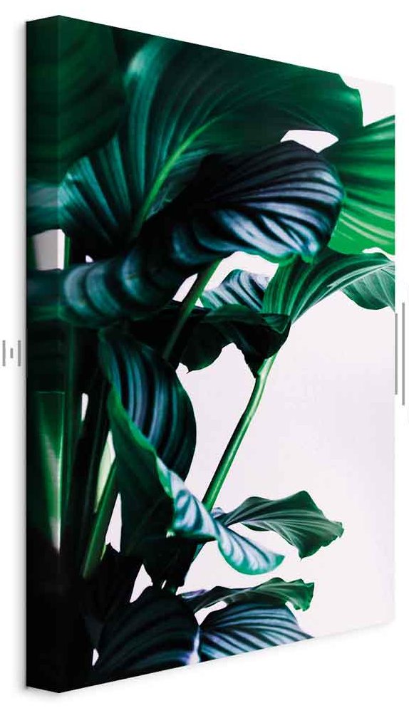 Leinwandbild - Springy Leaves (1 Part) Vertical