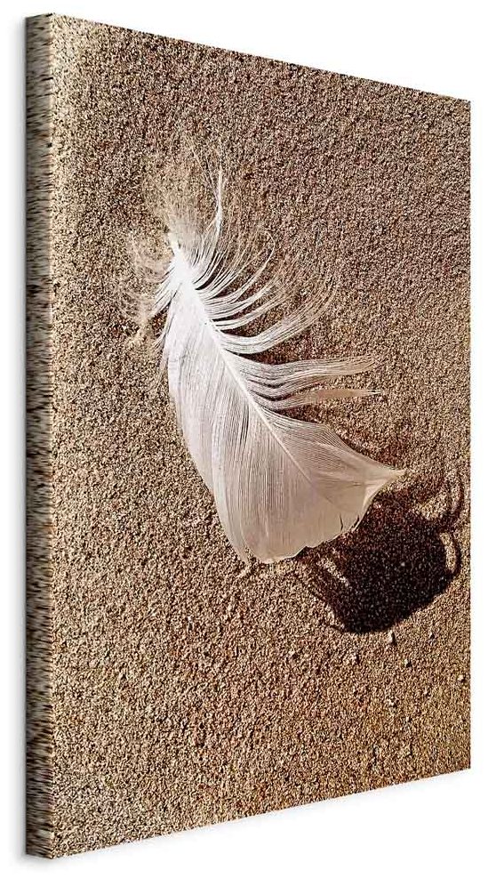 Leinwandbild - Feather on the Sand (1 Part) Vertical