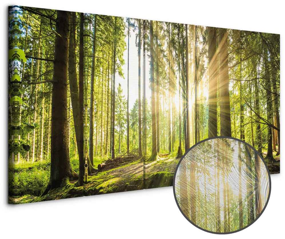 Leinwandbild - Sunlight