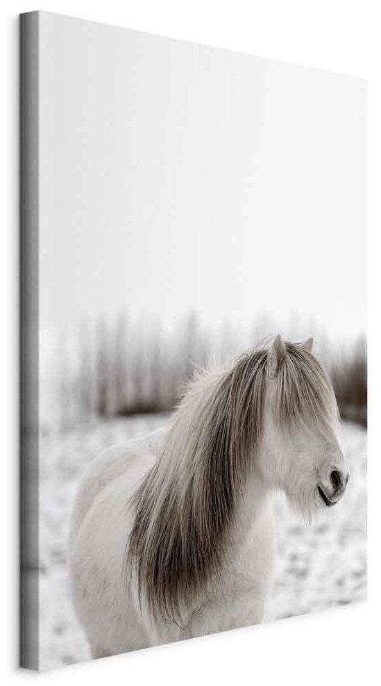 Leinwandbild - Horse Mane (1 Part) Vertical