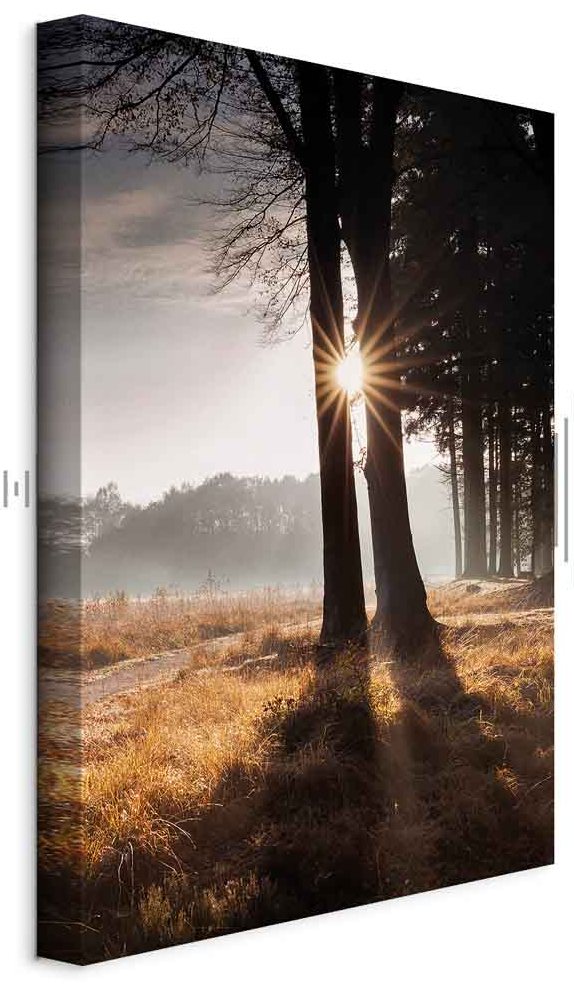 Leinwandbild - We Are a Ray (1 Part) Vertical