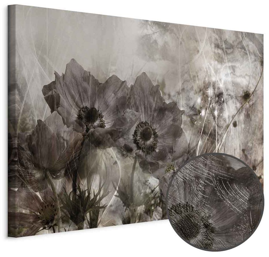 Leinwandbild - Anemones in Sepia (1 Part) Wide