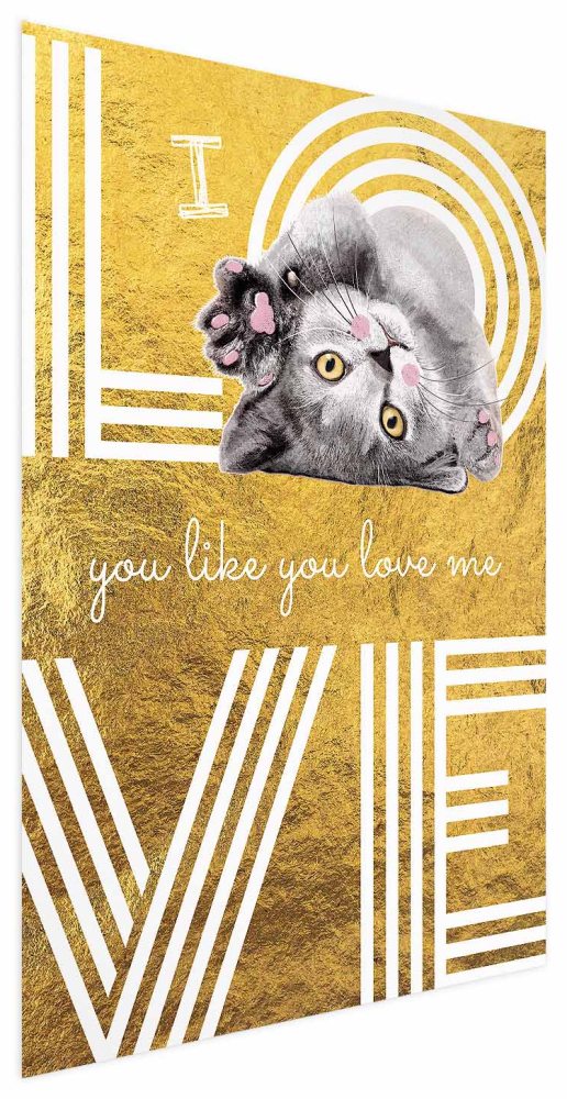 Poster - I Love You Like You Love Me