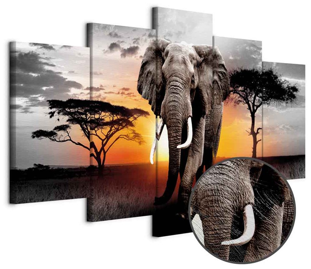 Leinwandbild - Elephant at Sunset
