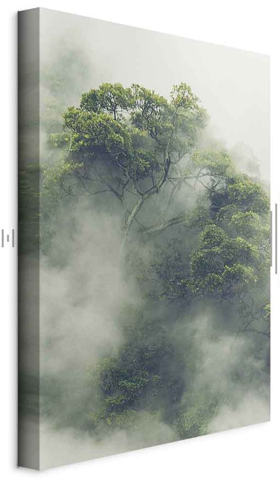Leinwandbild - Foggy Amazon (1 Part) Vertical