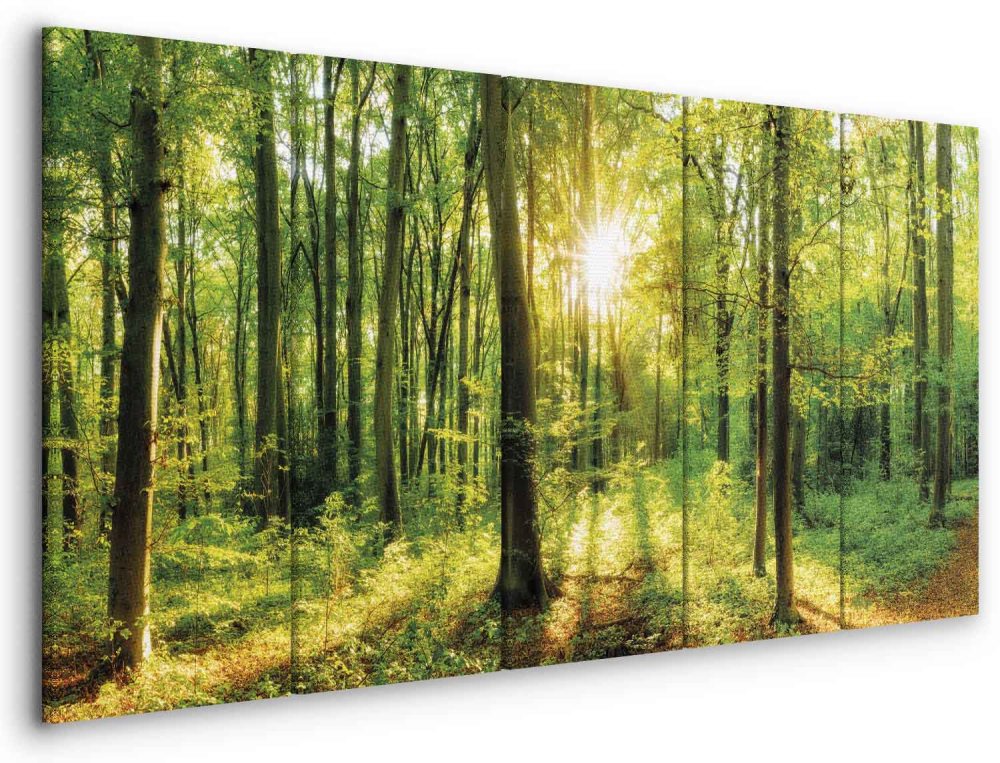Leinwandbild - Magic Forest