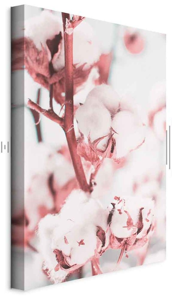 Leinwandbild - Blooming Cotton (1 Part) Vertical