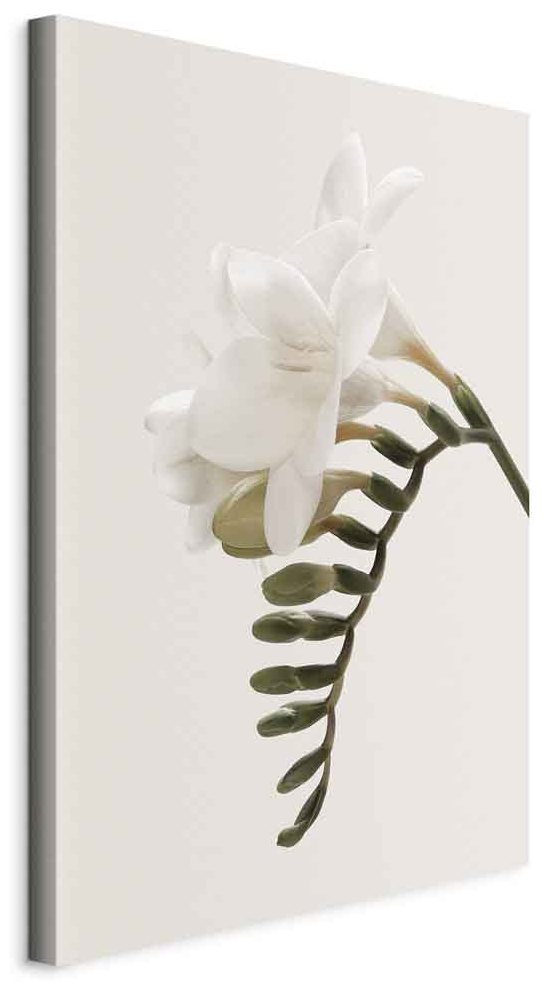 Leinwandbild - Spring Headdress (1 Part) Vertical