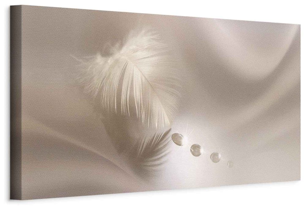 Leinwandbild - Delicate Feather