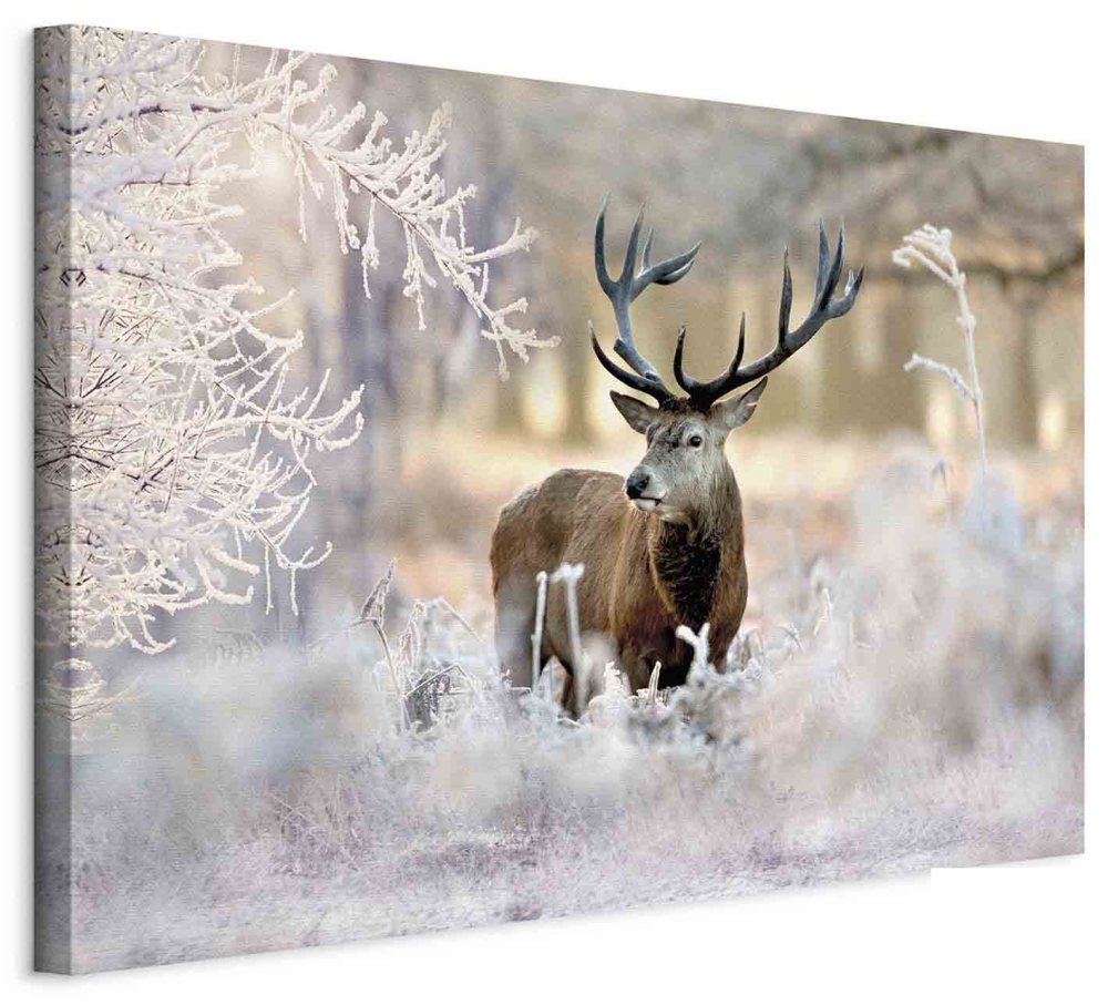 Leinwandbild - Deer in the Cold