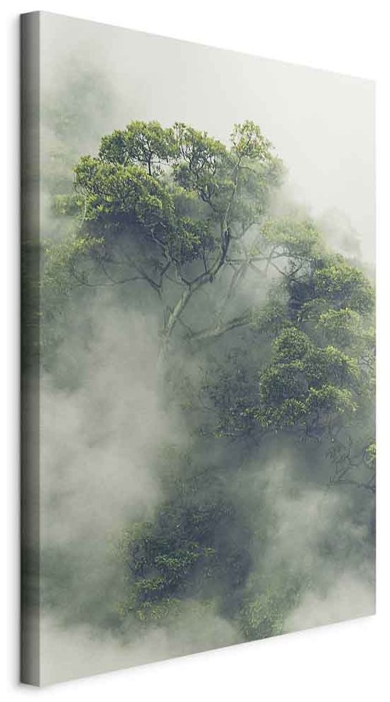 Leinwandbild - Foggy Amazon (1 Part) Vertical