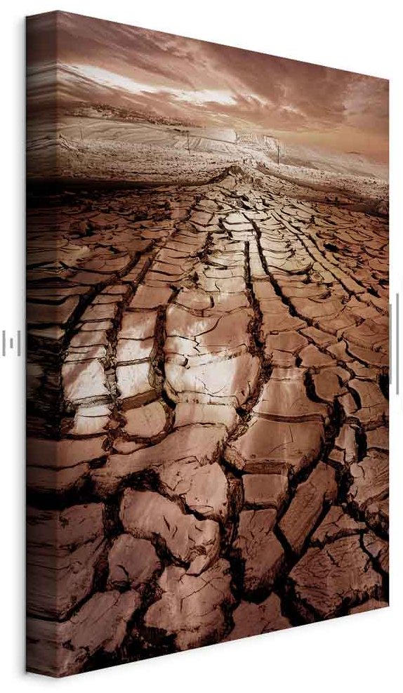 Leinwandbild - Drought (1 Part) Vertical