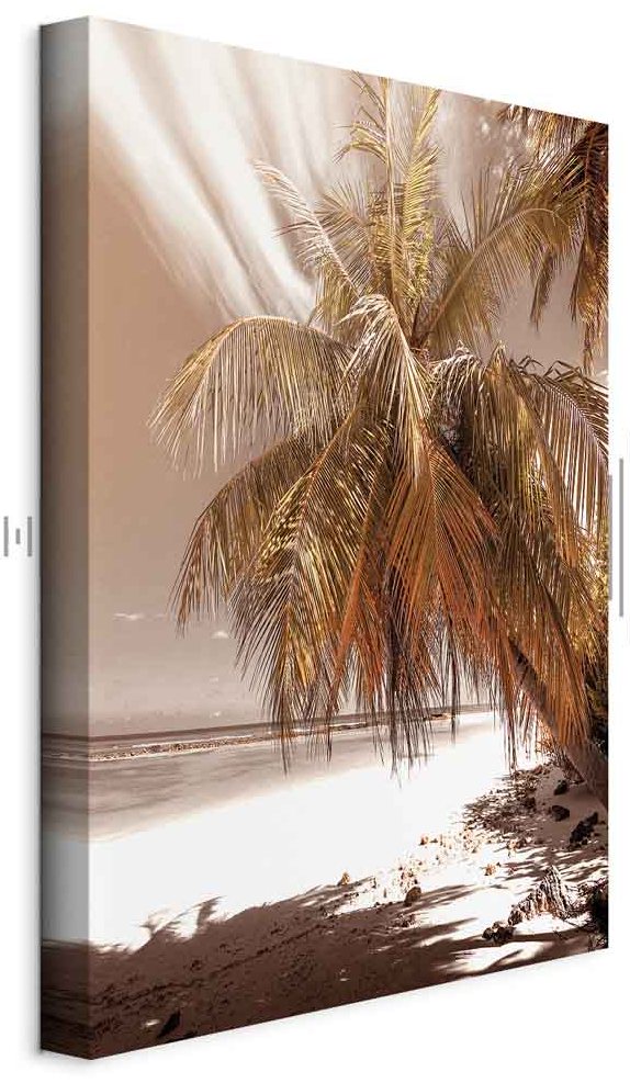 Leinwandbild - Palm Shadow (1 Part) Vertical