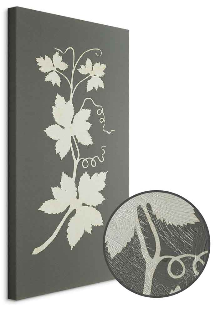 Leinwandbild - Philipp Otto Runge – Hop plant