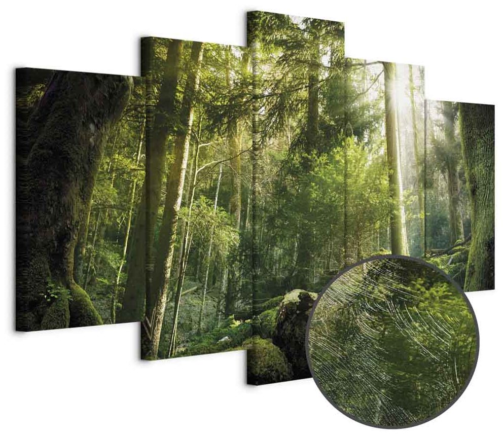 Leinwandbild - The Beauty of the Forest