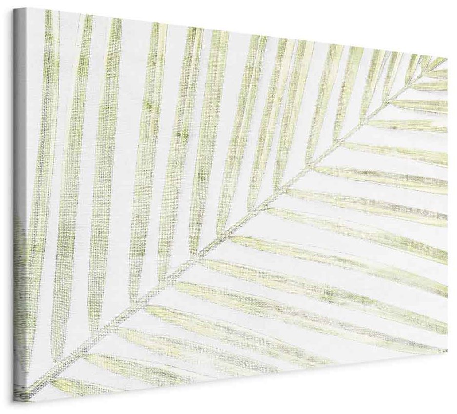 Leinwandbild - Palm Leaf (1 Part) Wide
