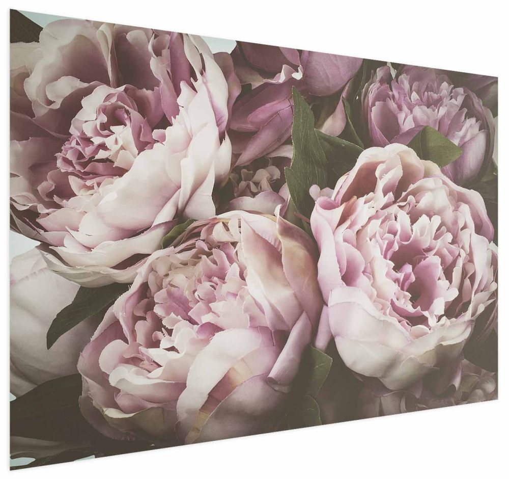 Poster - Pink Peonies