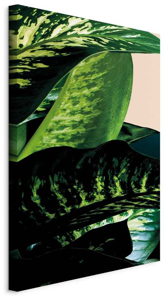 Leinwandbild - Dieffenbachia (1 Part) Vertical