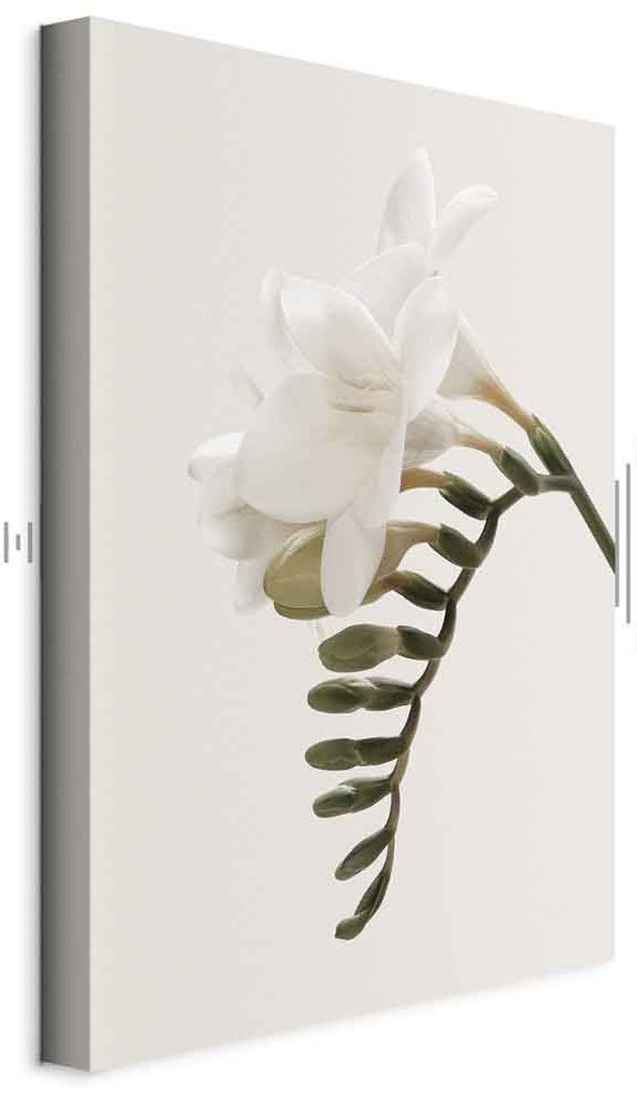 Leinwandbild - Spring Headdress (1 Part) Vertical