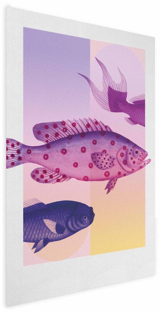 Poster - Fantastic Fish - artistic illustration of fish on a colorful background