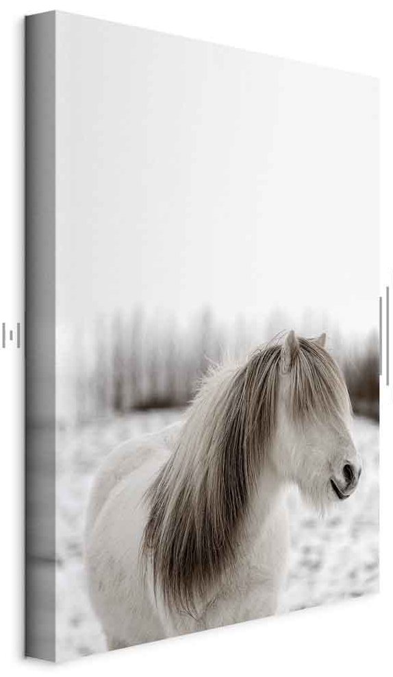 Leinwandbild - Horse Mane (1 Part) Vertical
