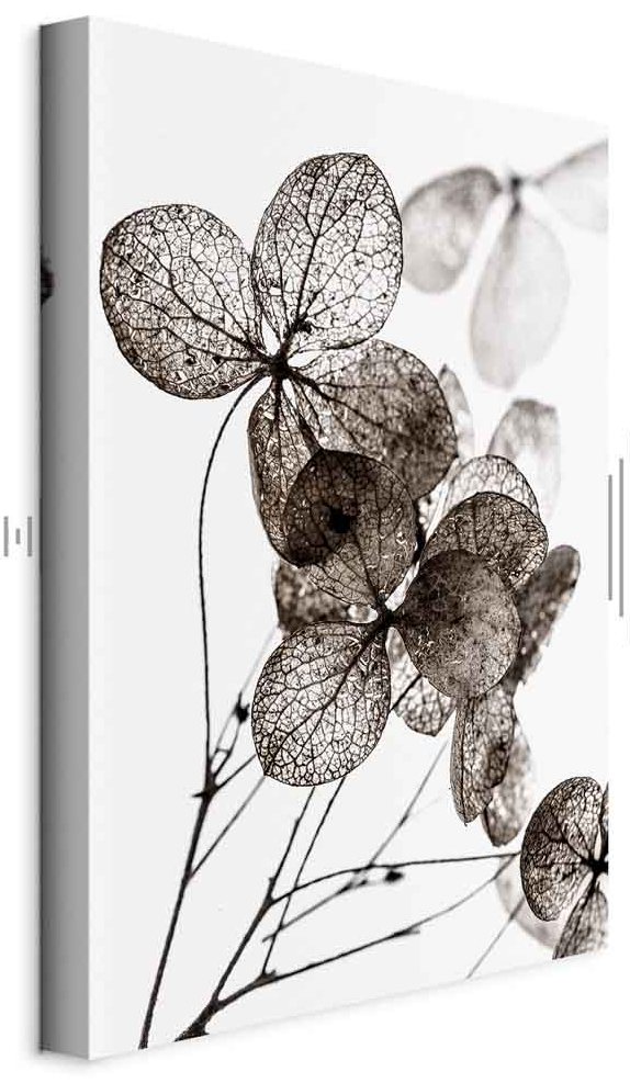 Leinwandbild - Transparent Clover (1 Part) Vertical
