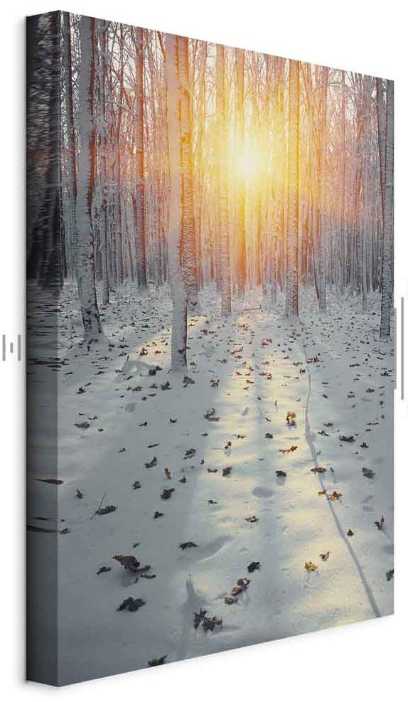 Leinwandbild - Winter Afternoon (1 Part) Vertical