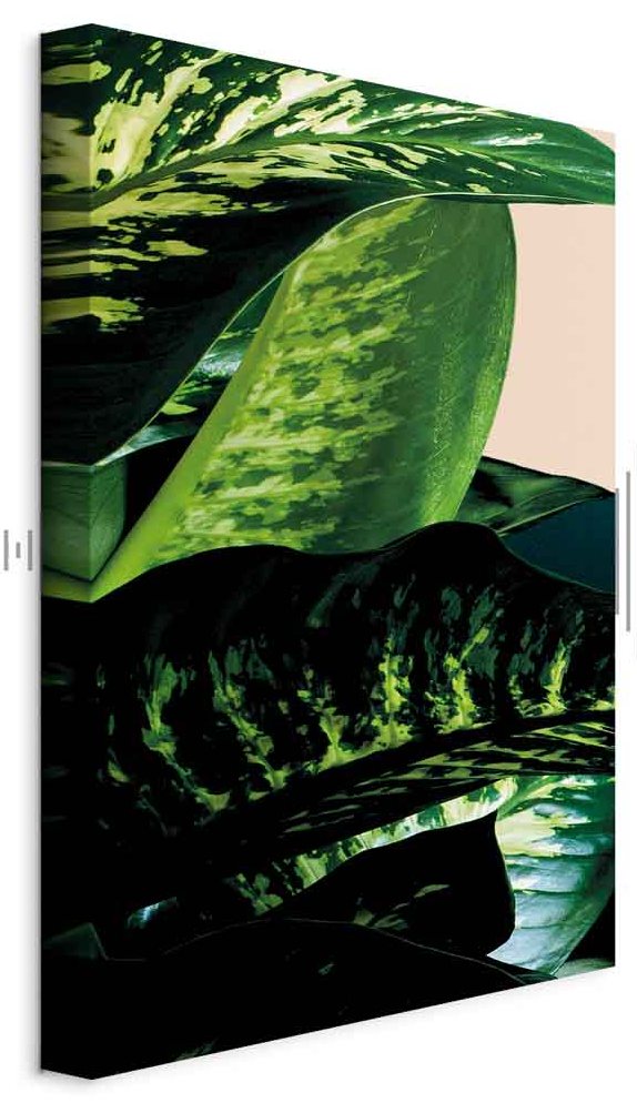 Leinwandbild - Dieffenbachia (1 Part) Vertical