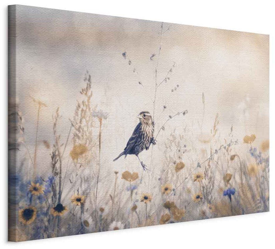 Leinwandbild - August Melody